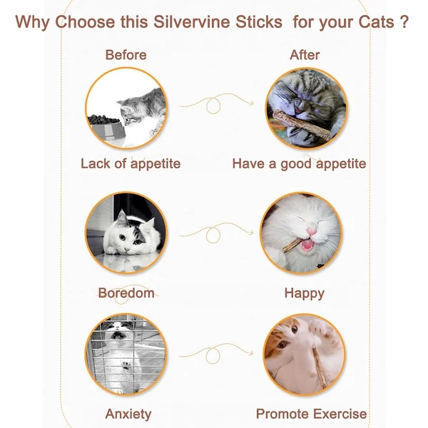 Natural Silvervine Stick Cat Chew Toy TK
